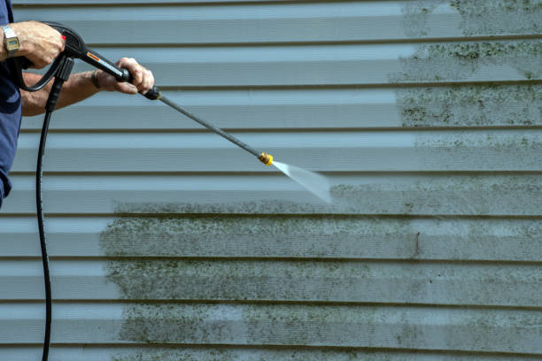 Best Graffiti Removal  in Seffner, FL
