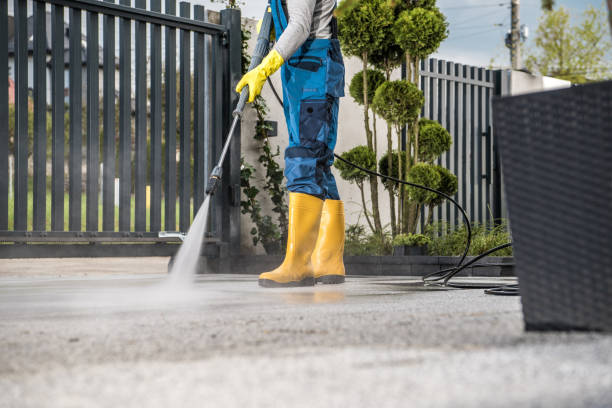 Animal Enclosure Cleaning in Seffner, FL